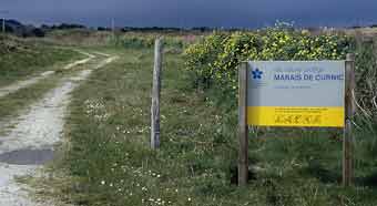 Protection du marais du Curnic par le Conservatoire du littoral, Guissny, Finistre