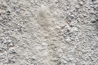 Ploubazlanec (22) - Chapelle de la Trinit ; mur ciment